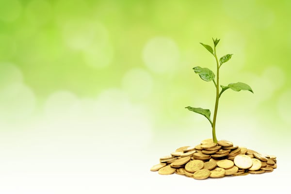 Savings Rate: All Participants are Not Equal