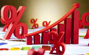 The Fed Cut Rates