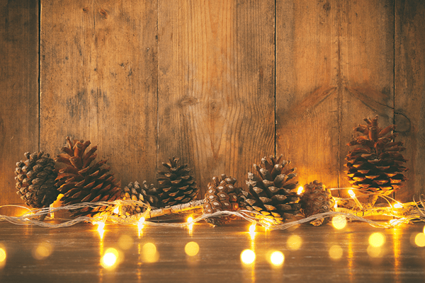 Happy Holidays!